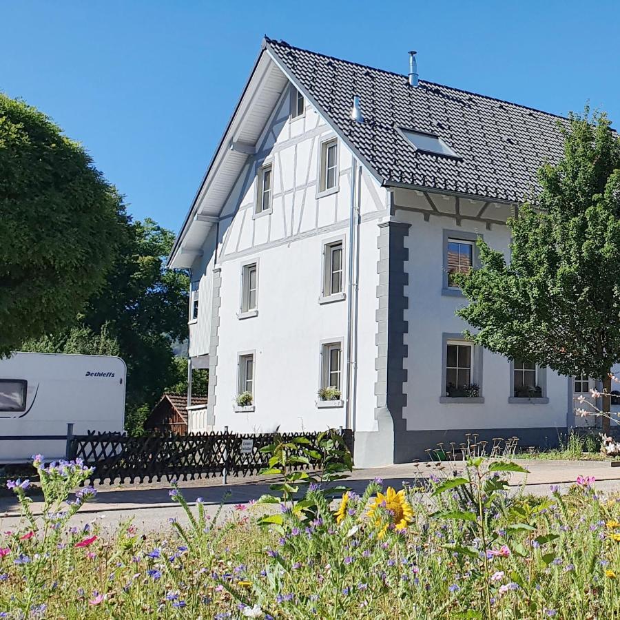 Apartment Kerbholz - Zwischen Suedschwarzwald Und Schweiz Griessen Zewnętrze zdjęcie