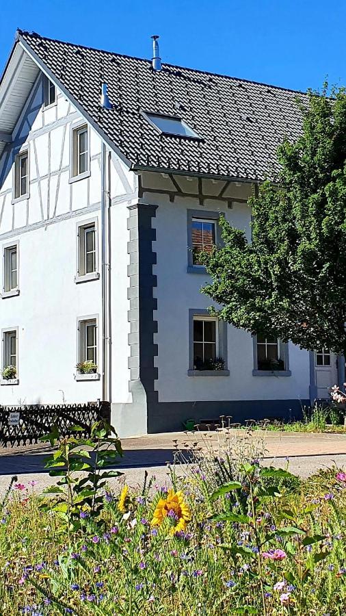 Apartment Kerbholz - Zwischen Suedschwarzwald Und Schweiz Griessen Zewnętrze zdjęcie